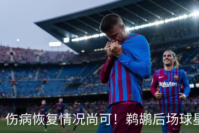伤病恢复情况尚可！鹈鹕后场球星将会在揭幕战中完成出场？