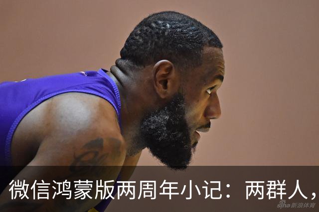 微信鸿蒙版两周年小记：两群人，一件难事，从陌生到并肩的700天