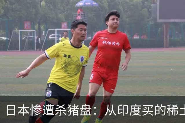 日本惨遭杀猪盘：从印度买的稀土都是中国货，这下血本无归了