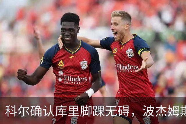 科尔确认库里脚踝无碍，波杰姆斯基每日观察