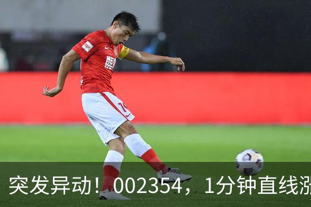 突发异动！002354，1分钟直线涨停！封单超200万手！