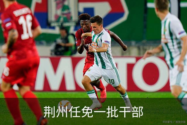 荆州任免一批干部