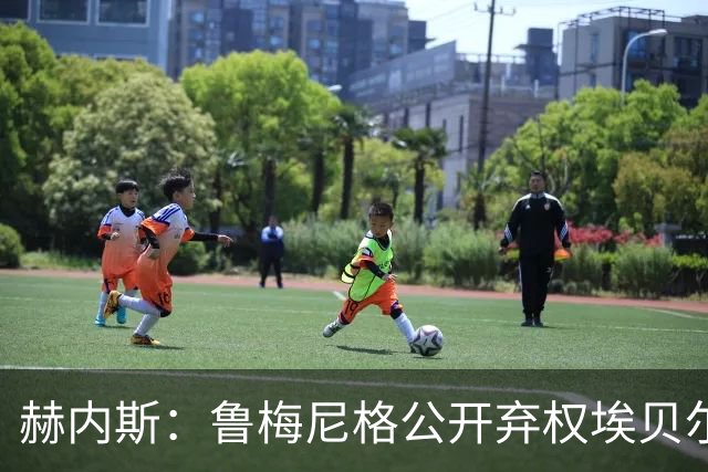赫内斯：鲁梅尼格公开弃权埃贝尔投票没必要