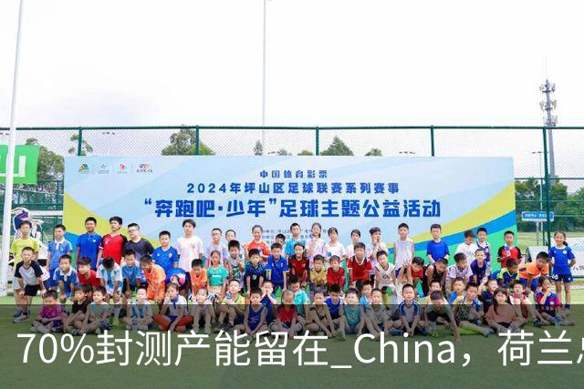 70%封测产能留在 China，荷兰总部急得去印度找塔塔，晚了整整一年